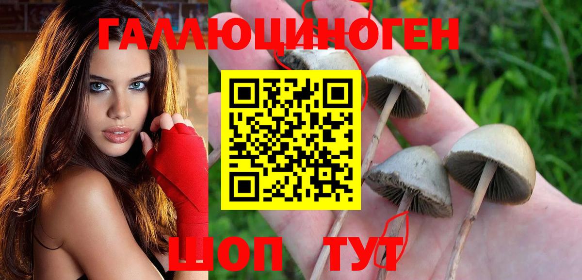 Галлюциногенные грибы прущие грибы  Вход с VPN  Химки 